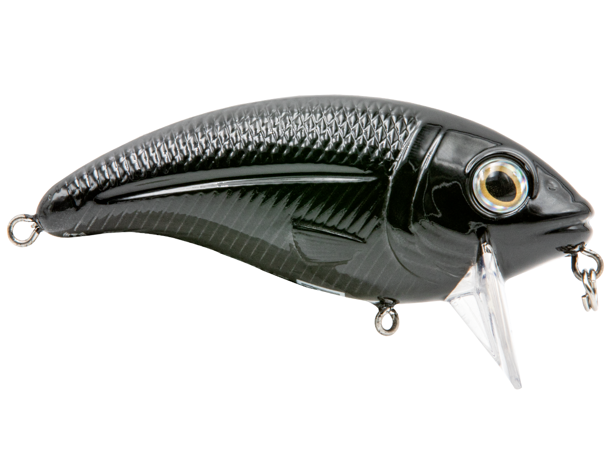 Bull Nose