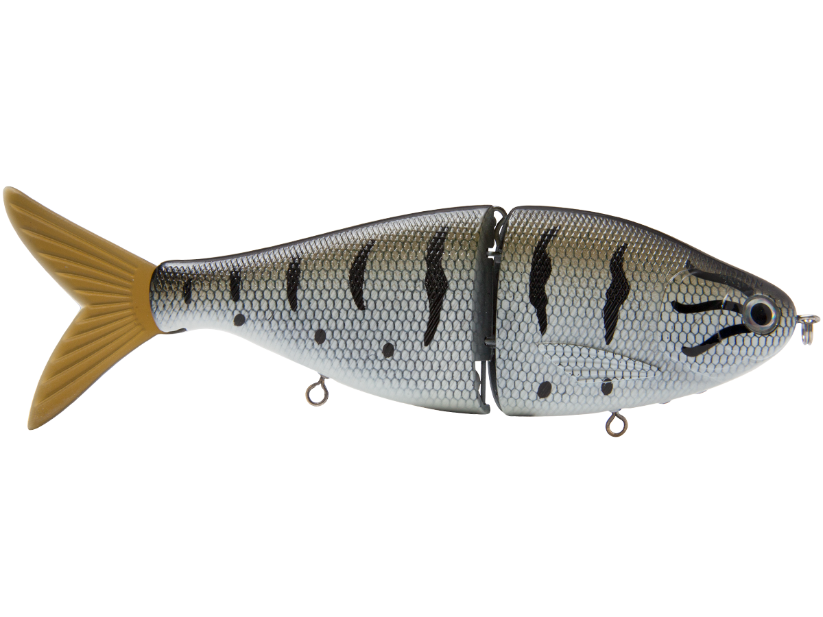 Fishing lure resembling a fish on a white background
