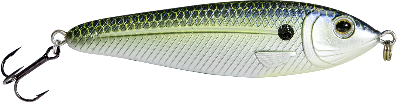 EBS Jigging Spoon