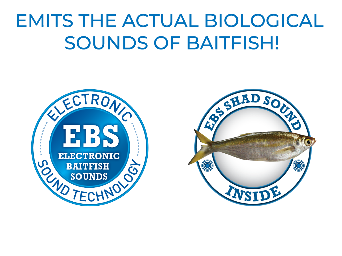 EBS Jigging Spoon